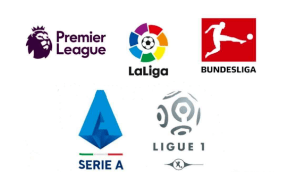 为巴西国脚 为巴西国脚